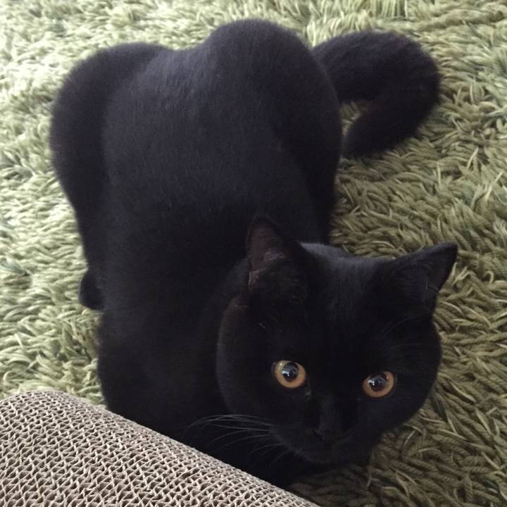 F30ca6cb 2eb2 469f ba3b d0a5465eff73