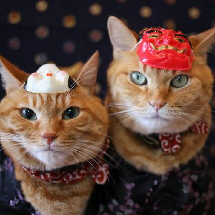 F30d7994 fefa 465d 8612 d4ecff87af9c