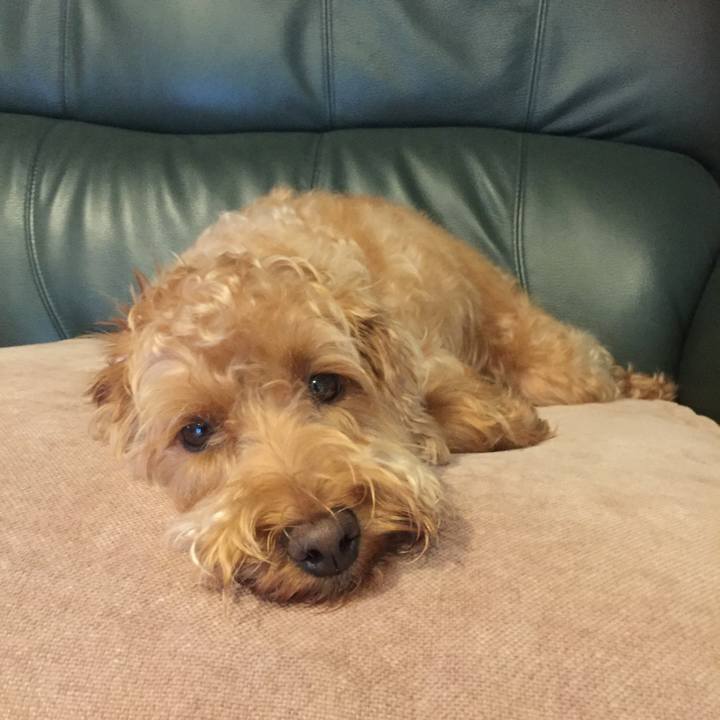 F30dca81 812f 435c 9c68 7b9dcba2e5a8