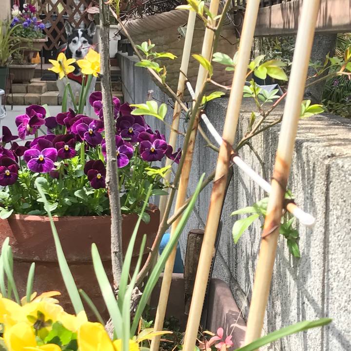 F30ea121 1c15 4d68 8228 348913c9f2d0