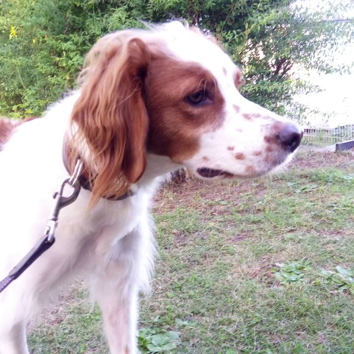 F30ece6b cb6f 4e6e a6ae 5338da5b210c