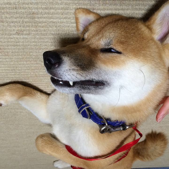 F30ed2ec 7f6a 4b2e ba5b 043ce07b599a