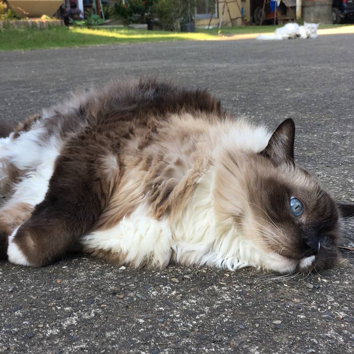 F30ef8bb c208 4a11 b2e2 05fbeeb60dfd