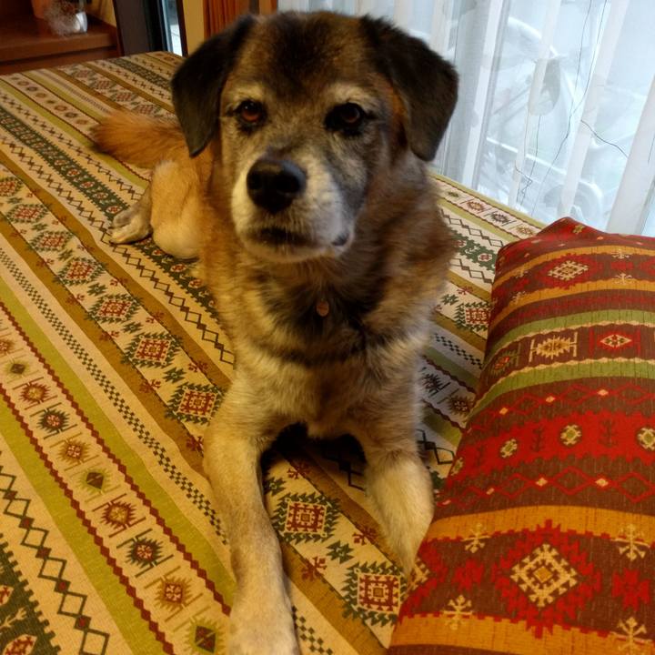 F3100587 10f8 44cc a6cf 87377ebc24d1