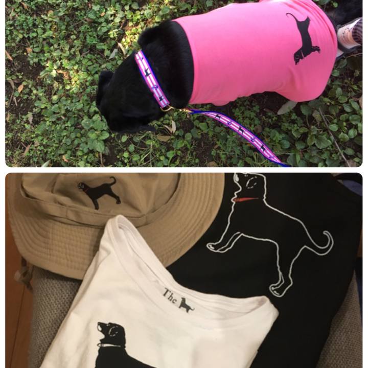 F311c1c6 7a2c 4d47 b196 a6a64186c00d