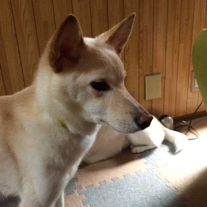 F3120743 380f 40de 8170 58e54d1a12ed