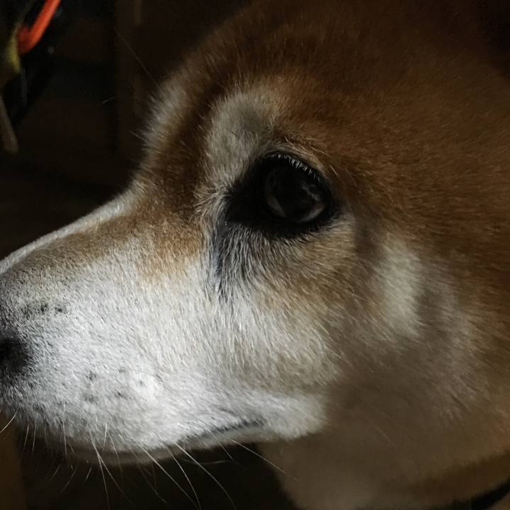 F312fb54 a7a3 4e36 8c62 e201827686c4