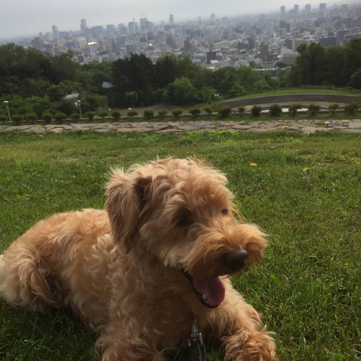 F3133724 bfac 4ed7 8f72 50a7367cf7ab