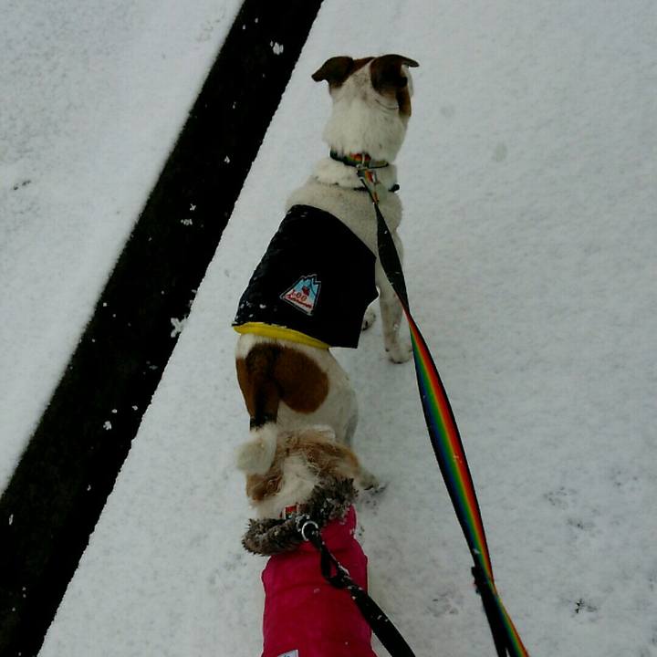 F313fad8 c6c0 430e bde9 35f585a230ce