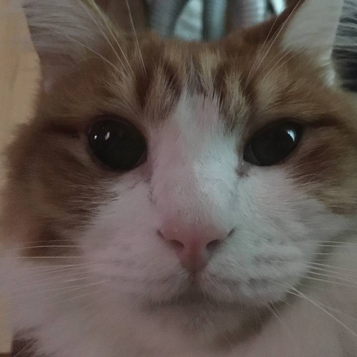 F314a82f ec13 4582 a10f 3adc415bced0