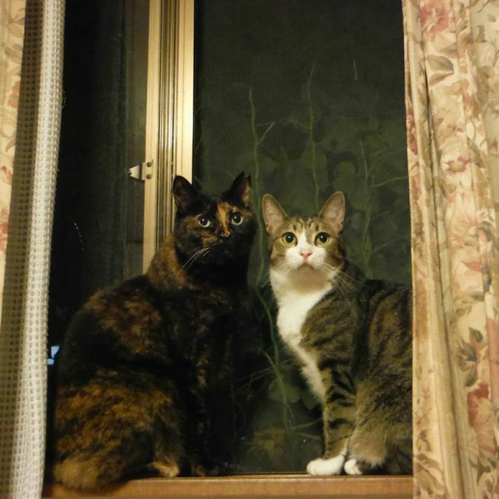 F3150fec ad98 4f4e b417 bbbd1d7840c1