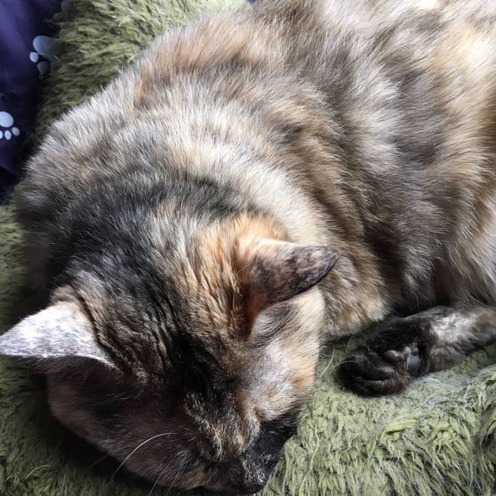 F3151205 4f6e 42a7 b0b4 1bacc2f22819