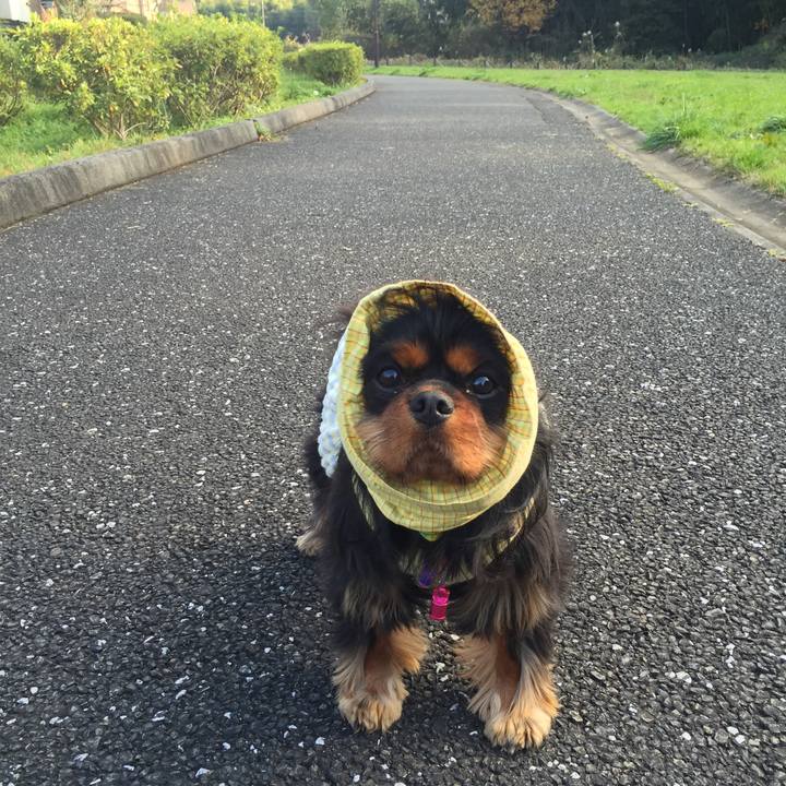 F315276b dc66 4faa 8bc7 a019095d8baa