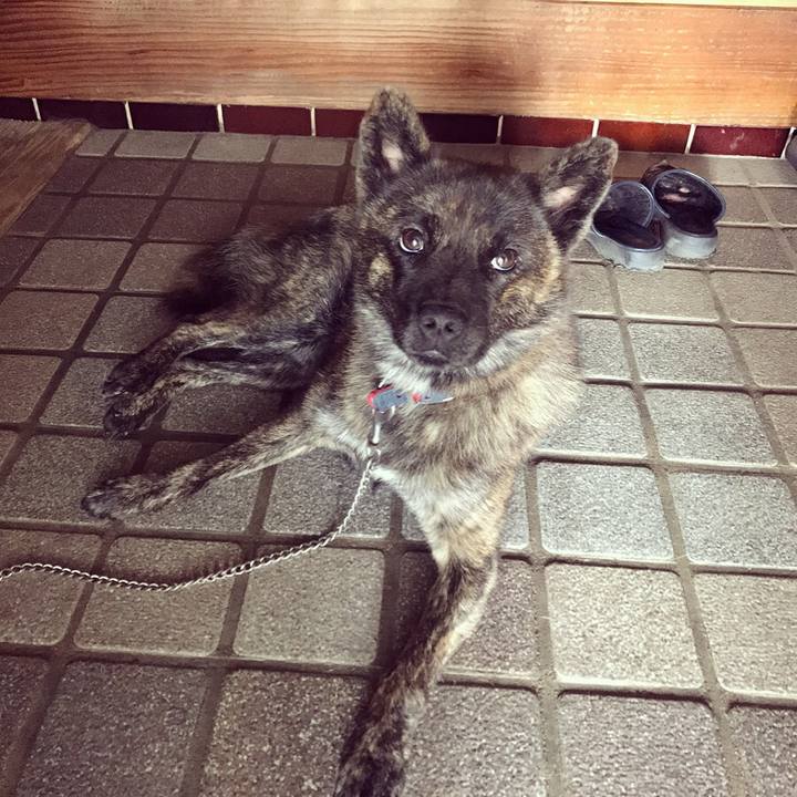 F315ef98 6b50 4763 8891 650fa8f63373