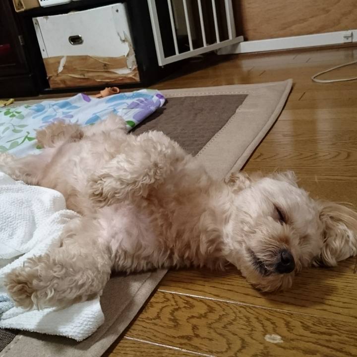 F316c86b 361c 4834 8d8a f4c539e716e3