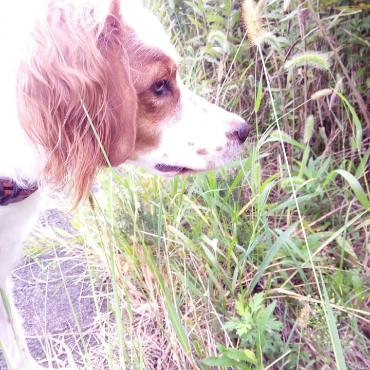 F3171081 7a6c 4a53 9b23 404b679c1d1d