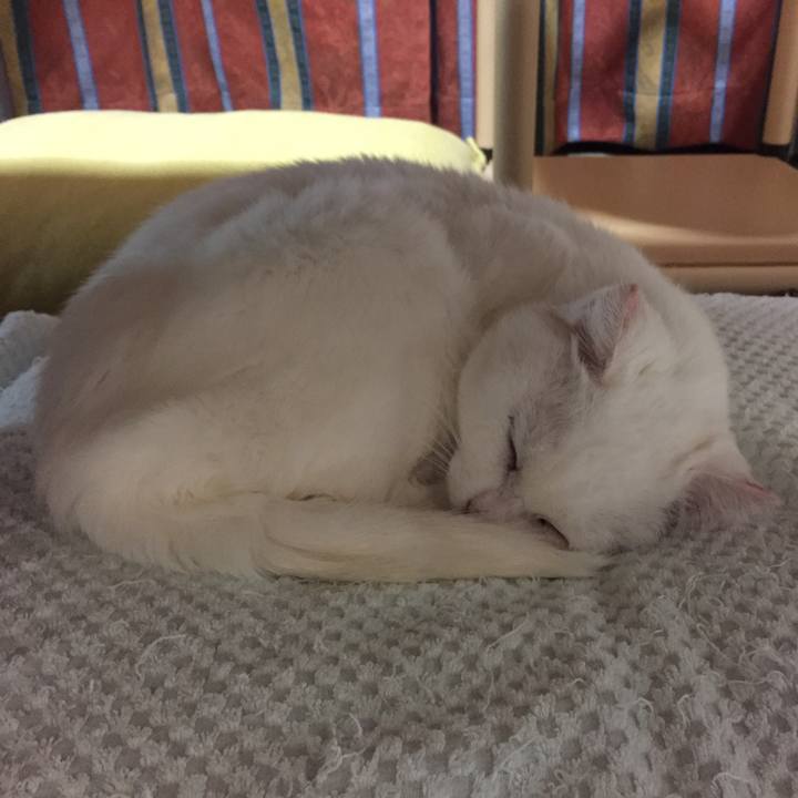 F3175018 1a0b 4c2a bec0 5588046bb58d