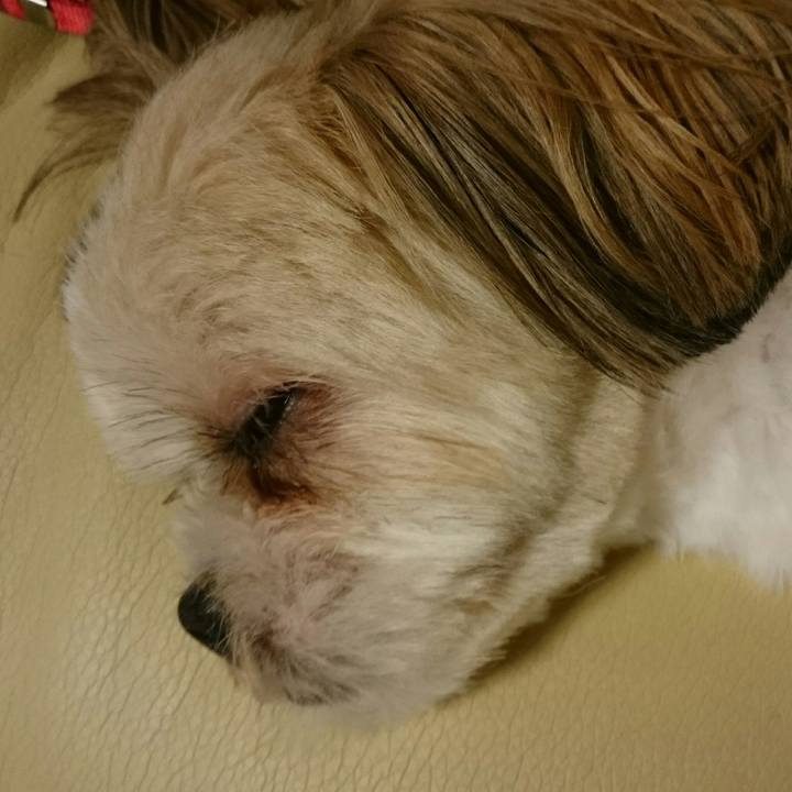 F31816b9 8bc7 4df6 bef0 1796c17b1924