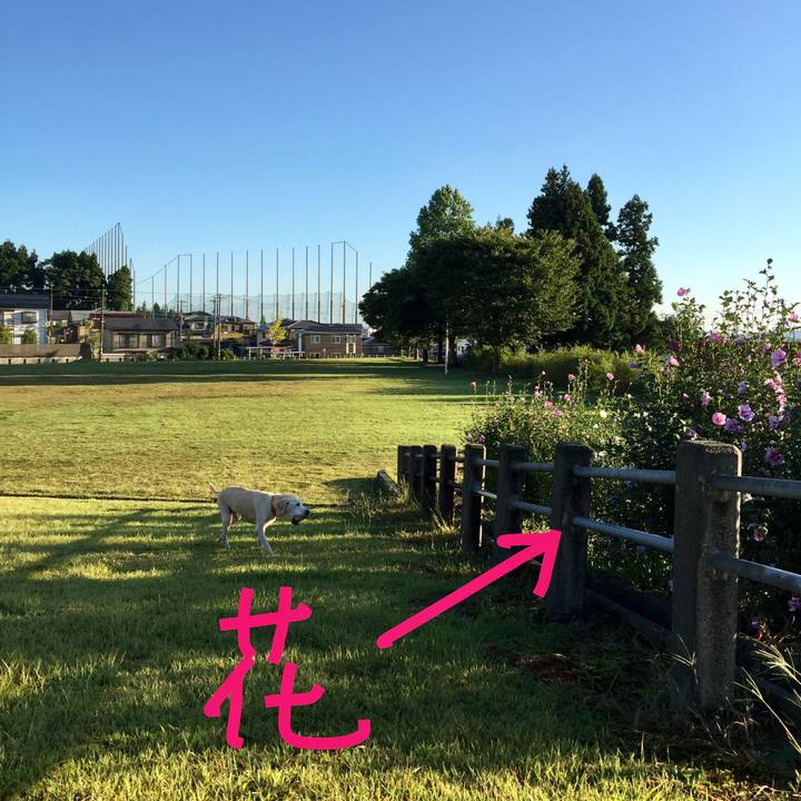 F3187043 ecc3 4b0d a7d3 b4fb395f4048