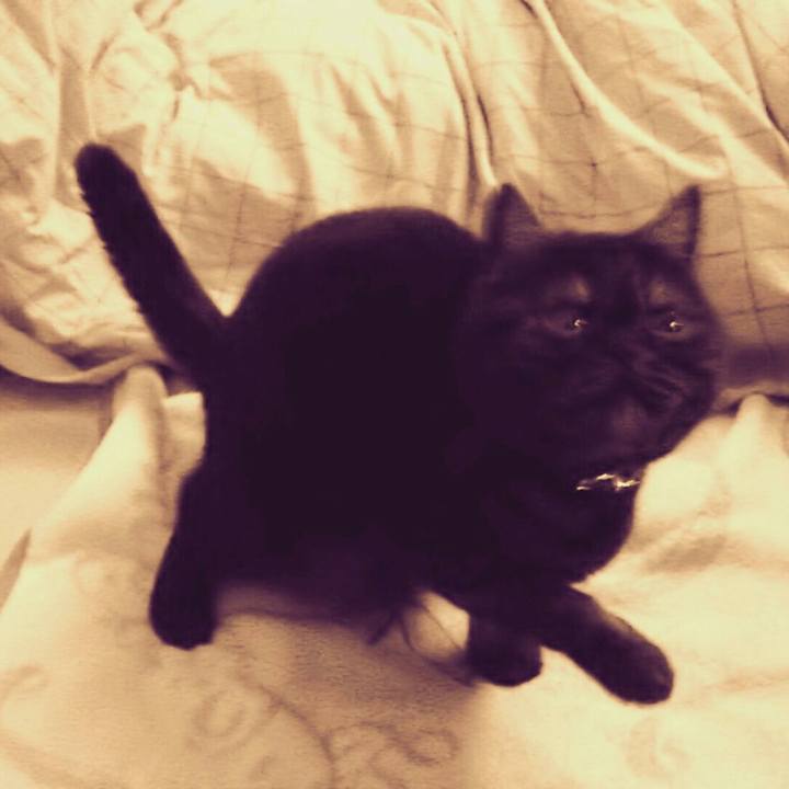 F318c088 ffff 4f09 9dc4 0311499b85bd