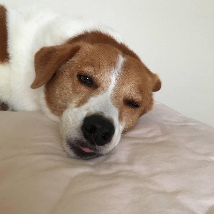 F318cba6 629b 445a 9e2b da7110ba212d