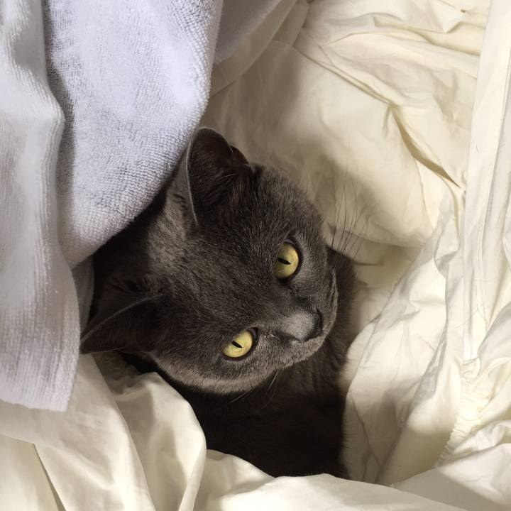 F318d6e0 674b 43da a90d 620b7a0fd91d