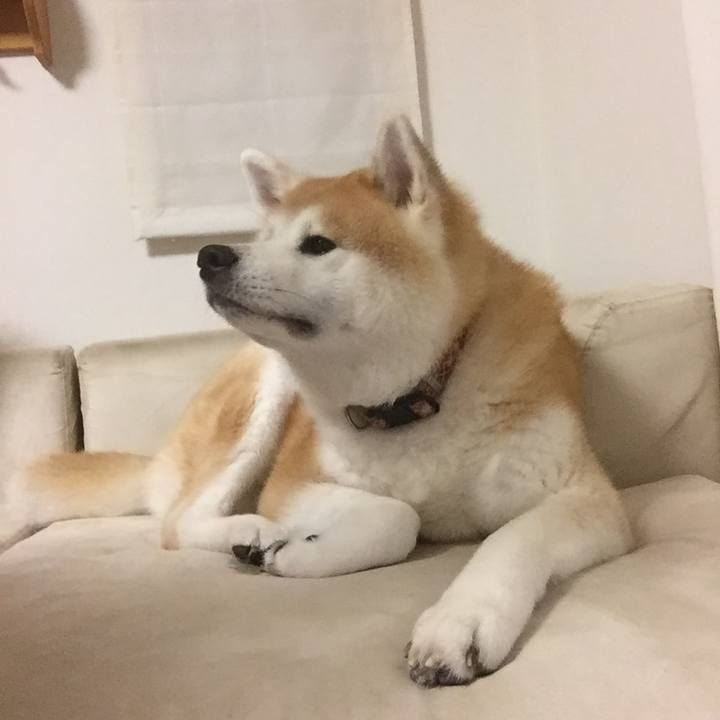 F3199c08 8daa 4fd6 90c9 804e7dc6646f