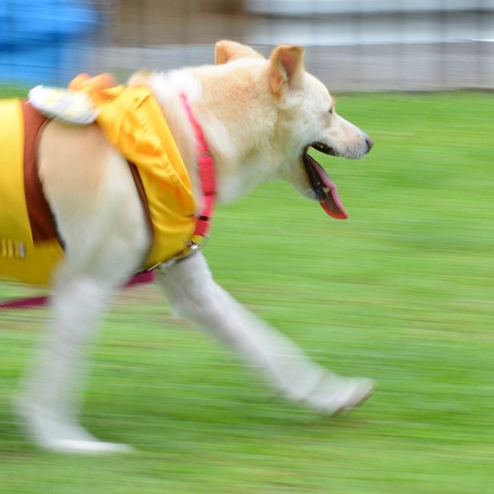 F3199cd2 92de 432d 99c6 88e8c479a08f