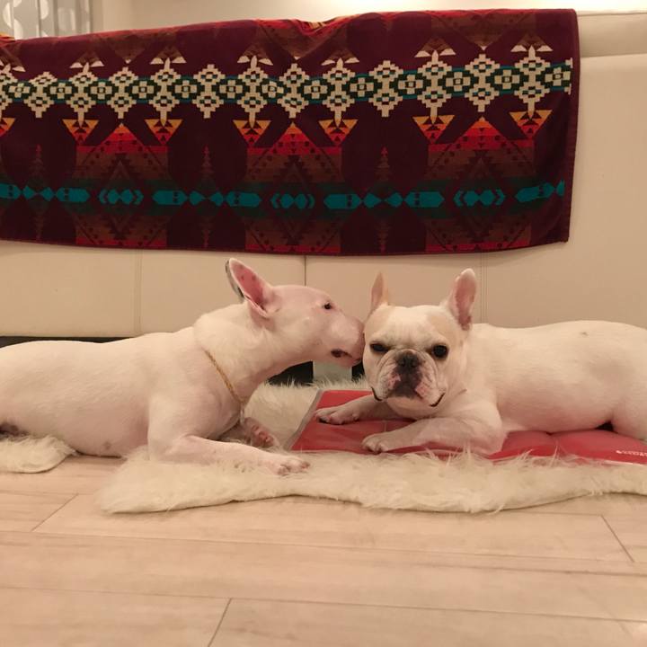 F319e1dd 5fcc 47d1 acf7 42039dc11b4b