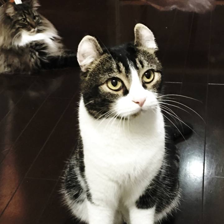 F31a723c 3caf 44ff 8e3e 6d2a9fed0696