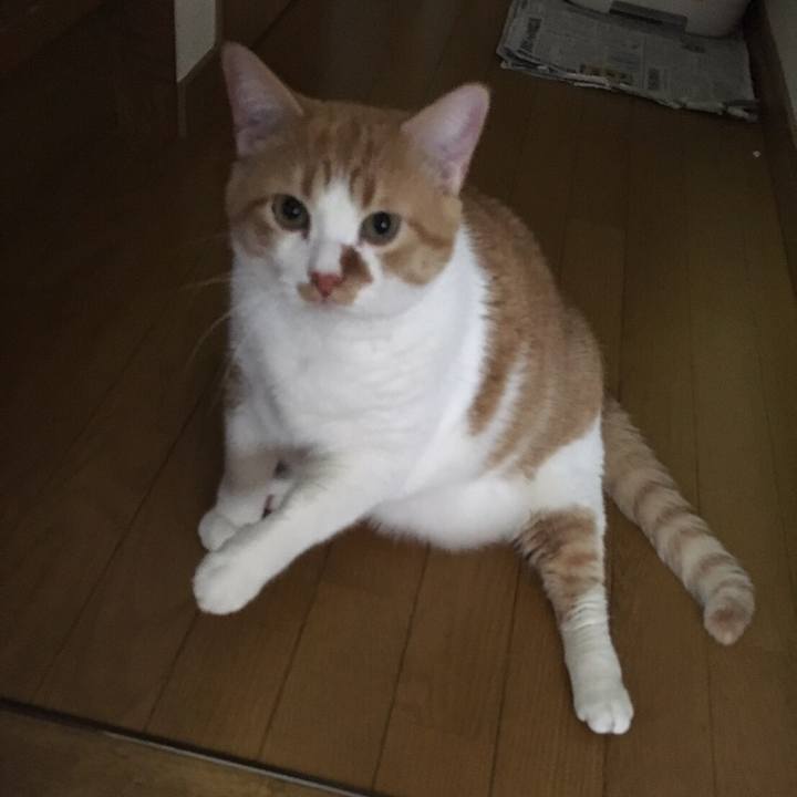 F31a9247 d107 410b a1dc cb34b763148a