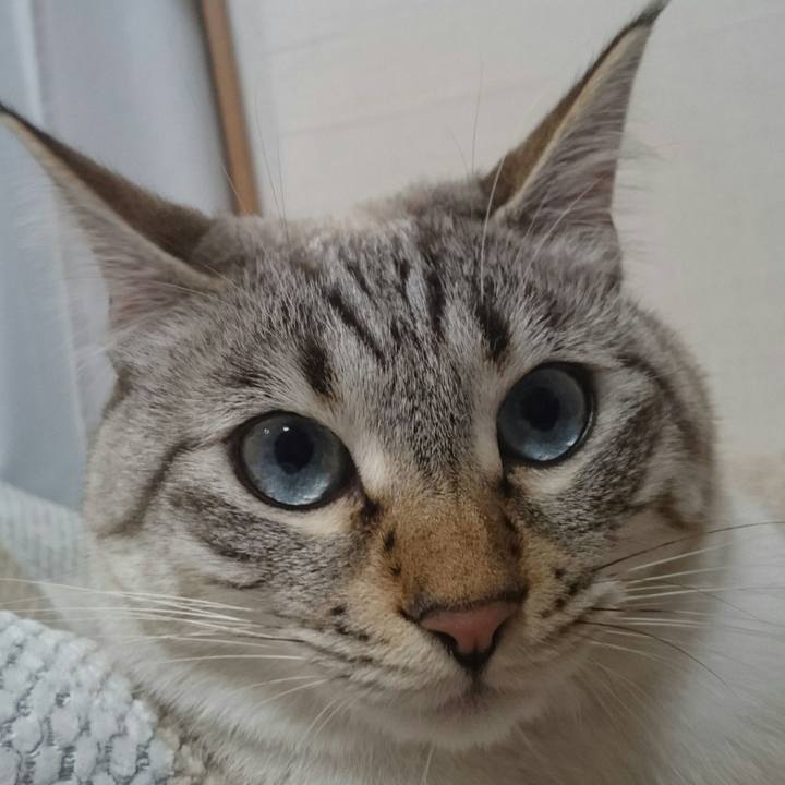 F31ac2b7 d448 4e96 a573 c8daf16032ff