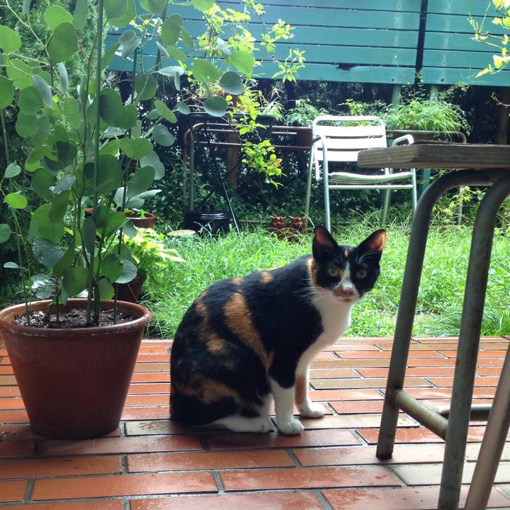 F31ce118 8646 4fd6 9083 be5d558d4fcc