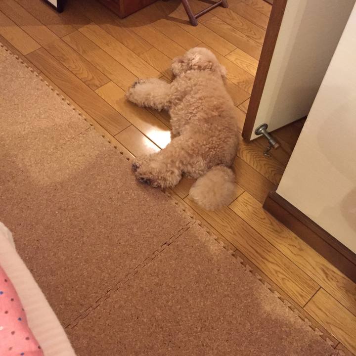 F31d0181 802c 4248 8986 f45a4bd6796f