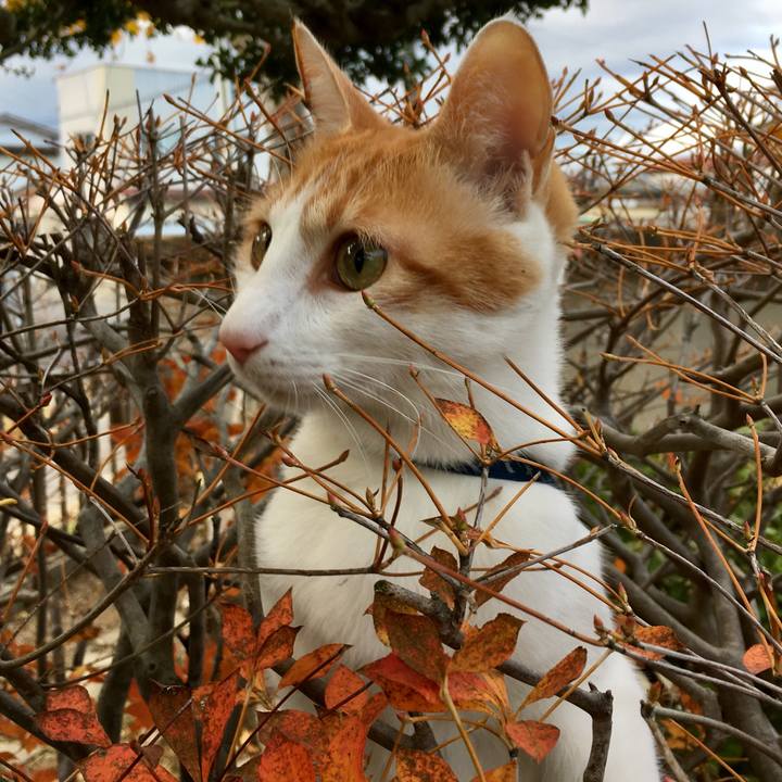 F31d0e45 4aa1 4340 9ae3 441f8a5c65bd