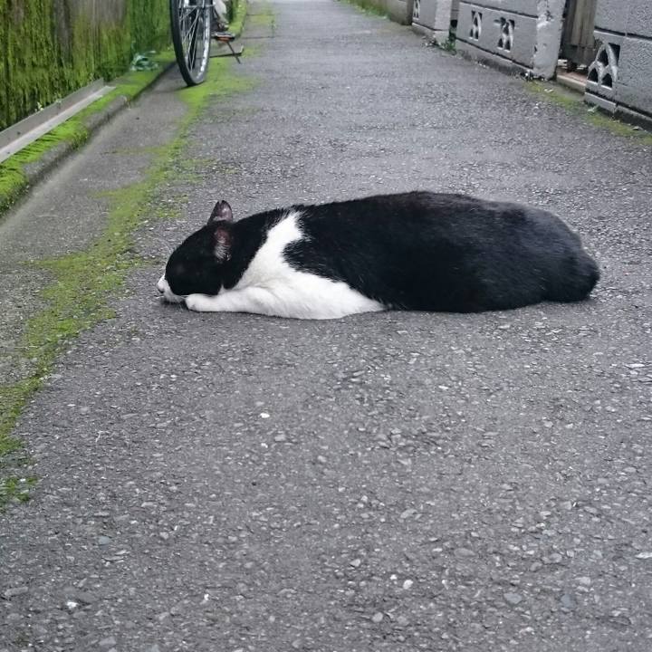 F31e5d0b 283f 4098 8af4 4e762651dd2c