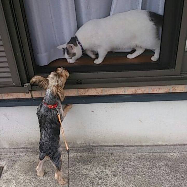 F31e7c58 6c7e 4e52 9b95 211be5319490