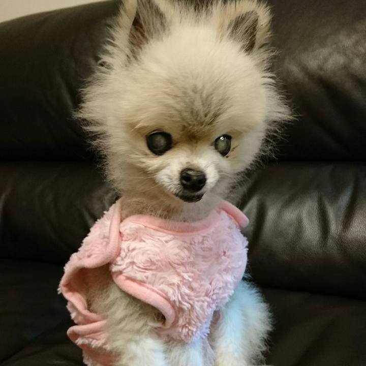 F31e8052 d8fc 446d 8713 d6e81201b029