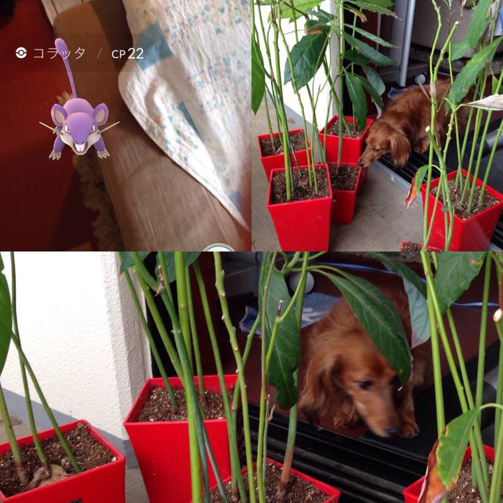 F31ef7e9 5256 4a0f aa00 9d29766afaf1