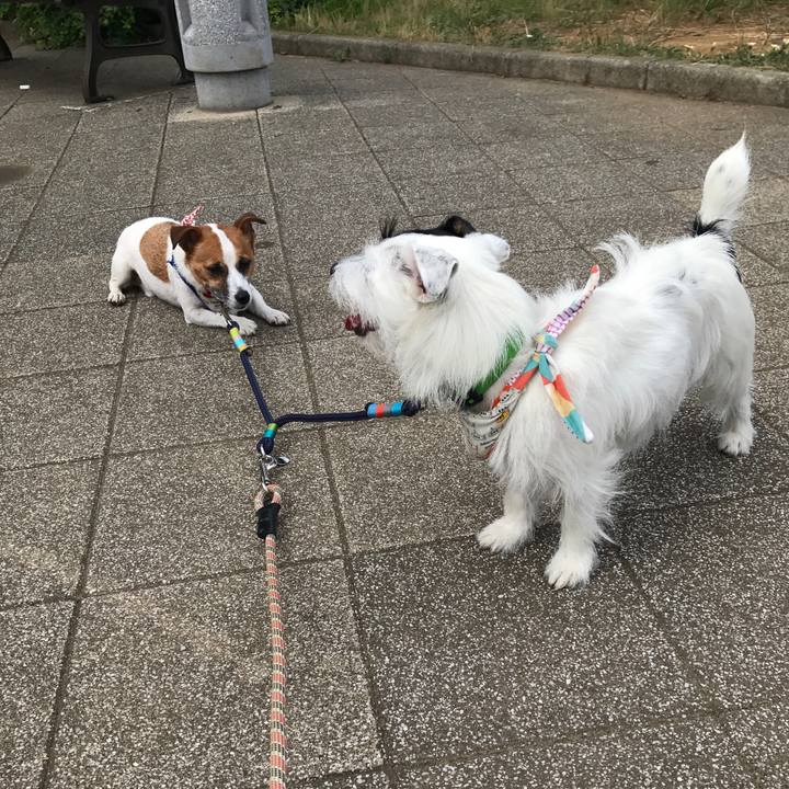 F31f3b70 16ca 4a80 9d11 ddf7e2ef3e46