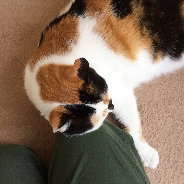 F3202b93 e626 4143 829b 6f9915592344