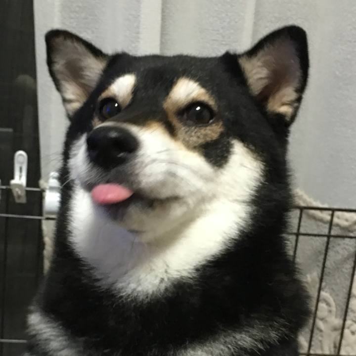 F3209a12 ad27 43a4 8019 aaa7d3402c4d