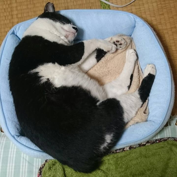 F320a51f f337 4a9e b717 87f1c59e6825