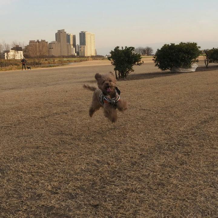 F3212096 9ef0 41da b6c2 6f6144e8d006