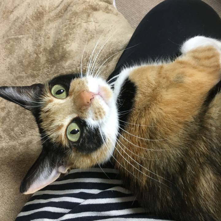 F321c5fc 7acc 4bfe 9a72 3cc1f5a7d1ce