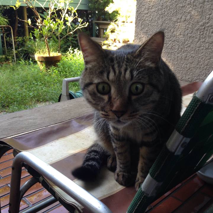 F322482b 2315 400b adb6 fbcf2b6bde75