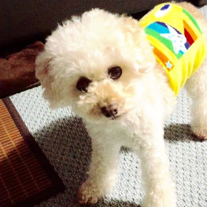 F3225bbf 4024 443b 9453 8db13e79f1c0