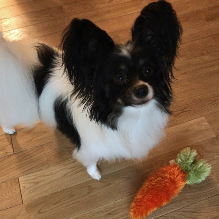 F32278fe ae22 4751 9f5e 1ef40095fbe9