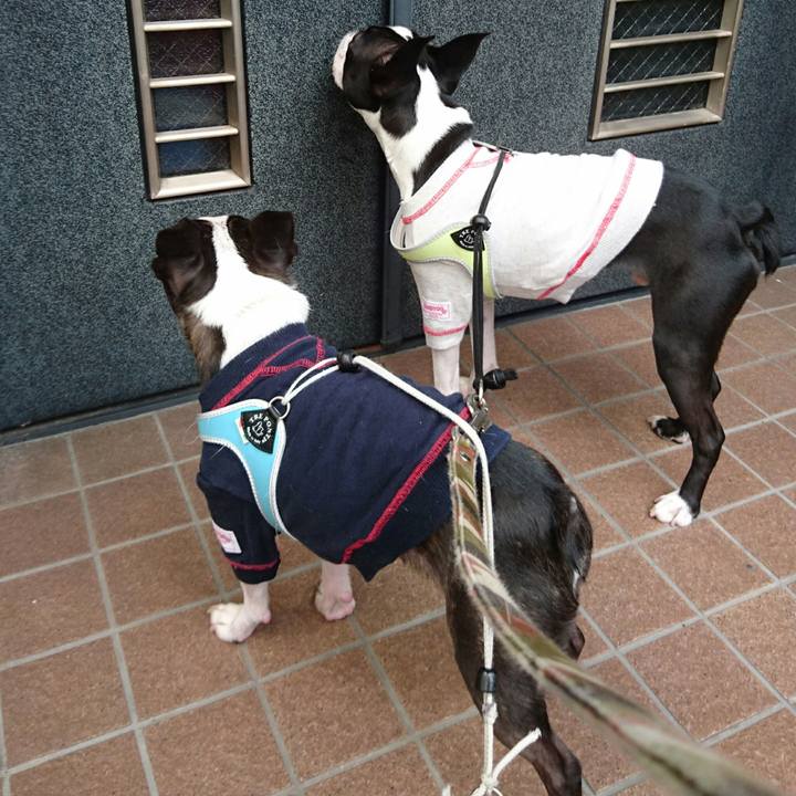 F3235b84 9b82 4f9b 81be bbc9a98e7c25