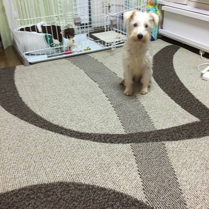 F3252f20 d327 4461 8173 1ce5d2db175f